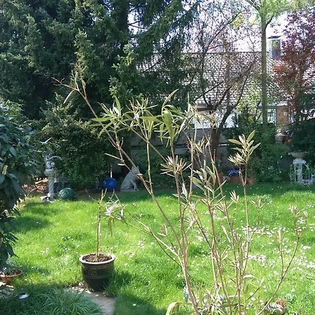 Homestay Belli Casa Hannover